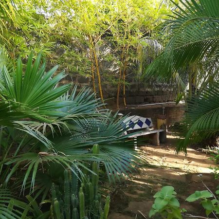 Harvest House Nicaragua Hotel León Екстериор снимка