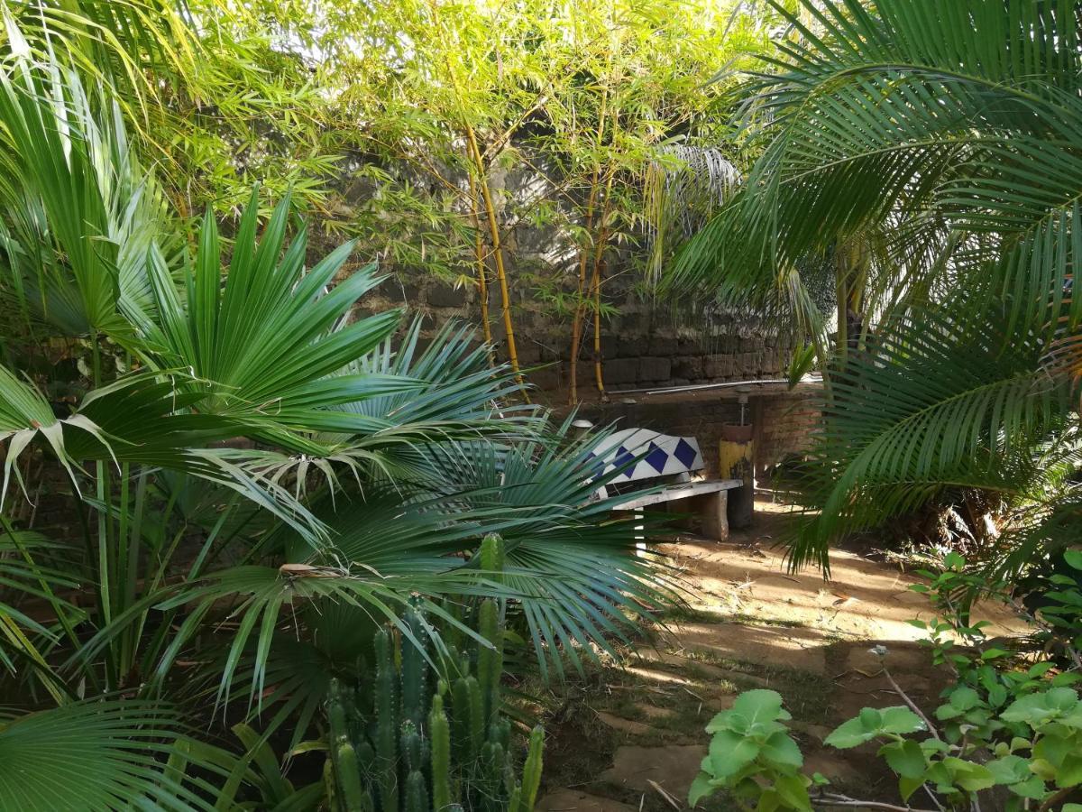 Harvest House Nicaragua Hotel León Екстериор снимка