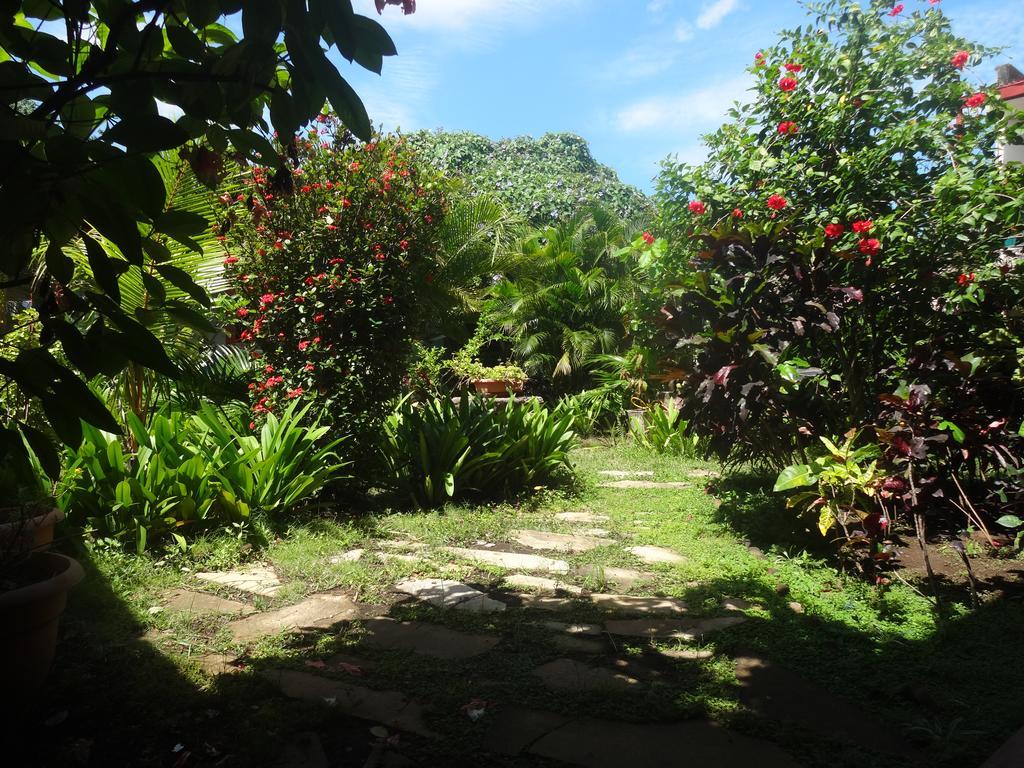 Harvest House Nicaragua Hotel León Екстериор снимка
