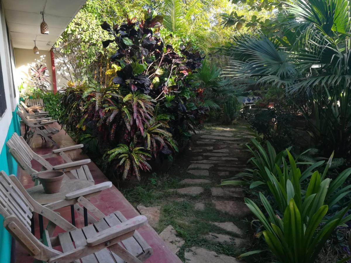 Harvest House Nicaragua Hotel León Екстериор снимка
